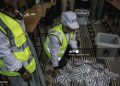Tanzania opposition alleges killing of election protesters