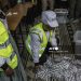 Tanzania opposition alleges killing of election protesters