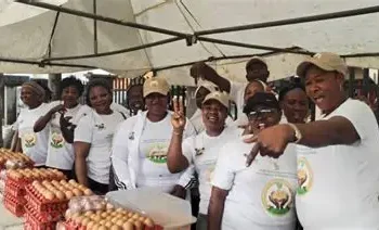 Egg sellers, poultry farmers trade blames over pricing