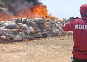 NDLEA destroys 8,000kgs illicit drugs in Yobe State