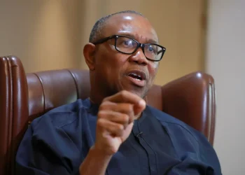 Peter Obi sues Deji Adeyanju for alleged defamation