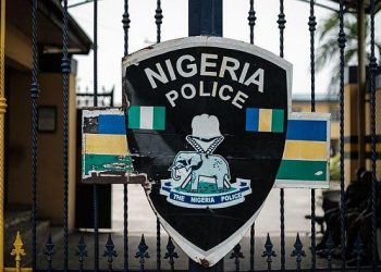 Police arrest kidnap suspects, rescue victims in Delta State