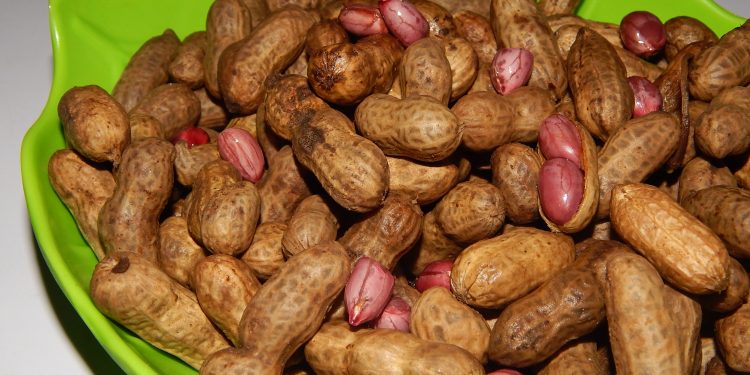 Cook your groundnuts, get hidden benefits