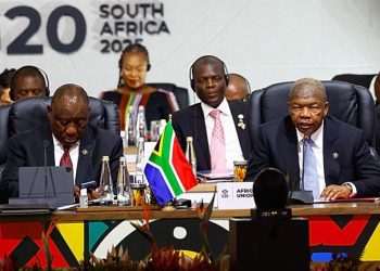Africa’s first G20 summit: highlights and what’s ahead