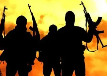 Gunmen kill seven, injure one in Kaduna community attack