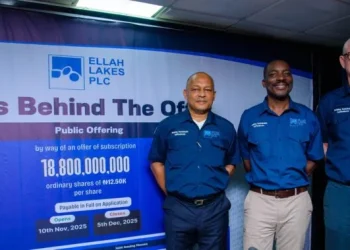 NGX: Ellah Lakes launches N235bn offer for subscription