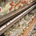 Kaduna, China partner on $450m poultry project