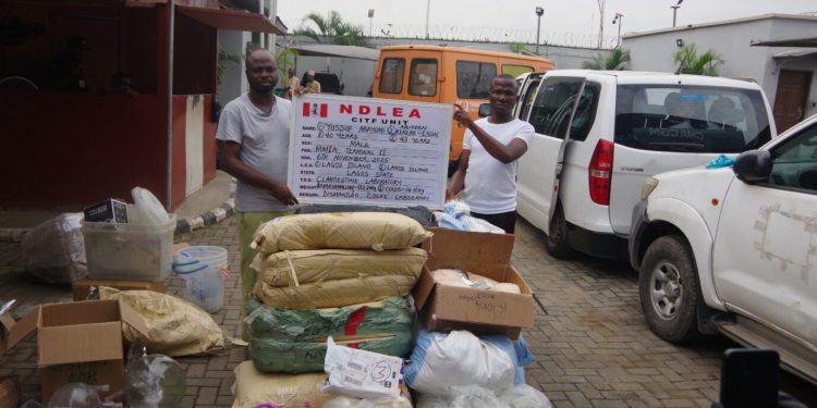 NDLEA nabs ‘drug lord’ at Lagos airport