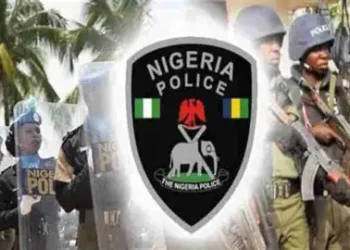 Police detain 14 in Jigawa over drug deal