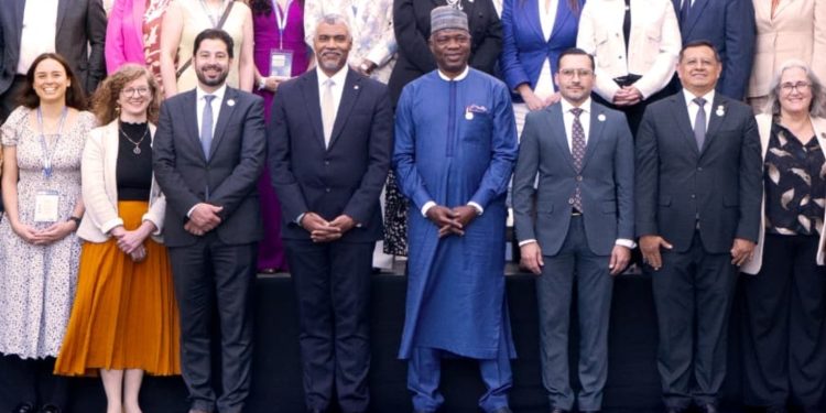 Nigeria chairs first World Customs policy session