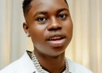 Police detain influencer over reckless driving