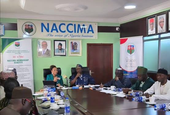 NACCIMA pledges stronger MSME support
