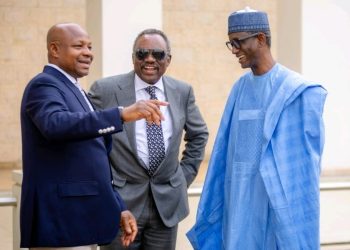 US-Nigeria Working Group discuss mutual security concerns