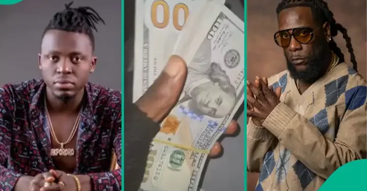 Akpororo, Burna Boy in $15k reality show