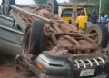 Lexus overturns