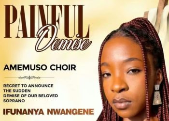 Abuja singer dies after snake attack at home