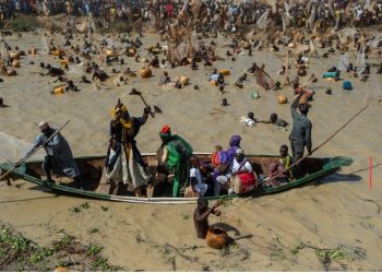 Usman wins two cars, N1m at Argungu Fishing Festival