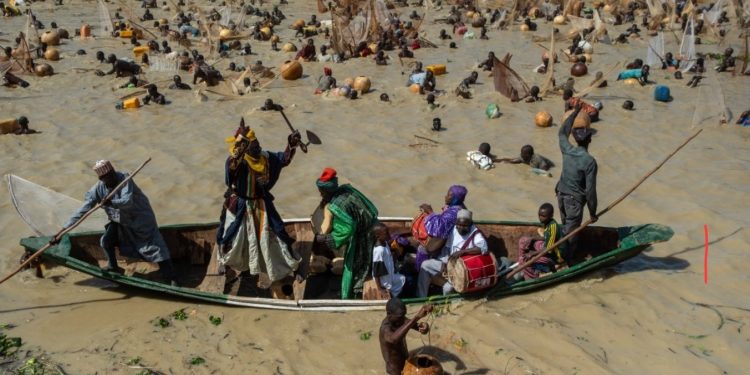 Usman wins two cars, N1m at Argungu Fishing Festival