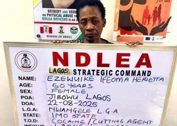 NDLEA nabs woman with drugs in fake pregnancy
