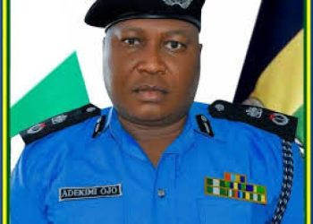 Kwara state CP, Adekimi Ojo