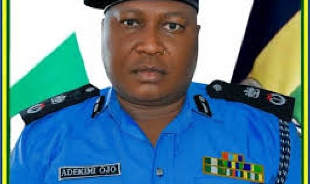 Kwara state CP, Adekimi Ojo