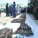 Illicit firearms