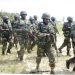 Troops neutralize ISWAP commanders in Borno