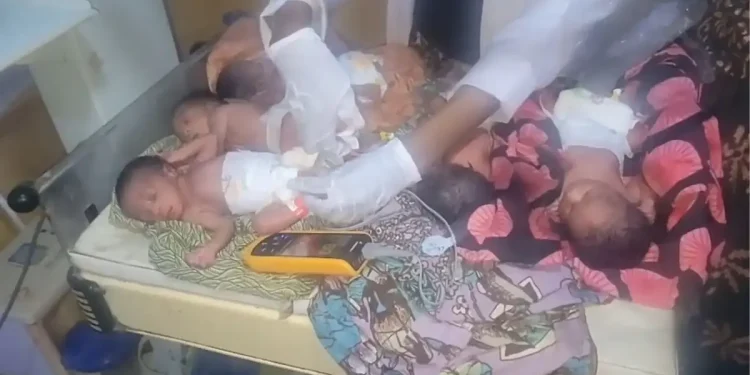Woman dies hours after birth of quintuplets
