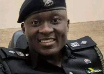 CSP Giwa emerges Police New Media manager