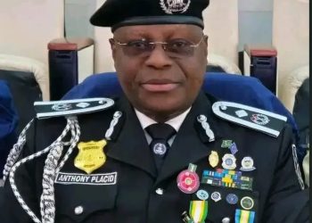 DCP Njoku is new Police spokesman