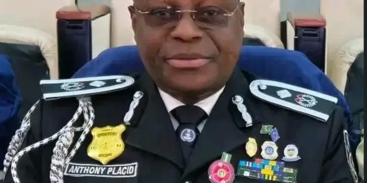 DCP Njoku is new Police spokesman