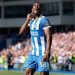Brighton daze Liverpool with Welbeck double