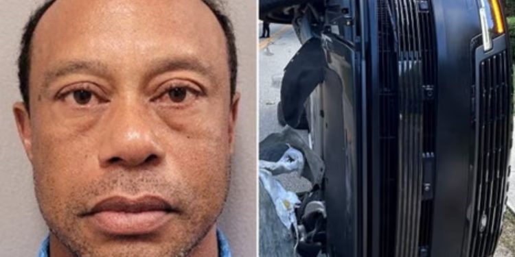 Police arrest Tiger Woods, grant him bail