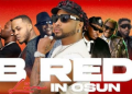 Gov Adeleke announces Friday concert with B-red