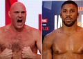 Anthony Joshua and Tyson Fury