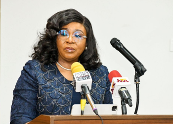 Head of the Civil Service of the Federation, Mrs. Didi Walson-Jack