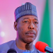 Governor of Borno State- Babagana Zulum
