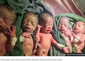 The quintuplets