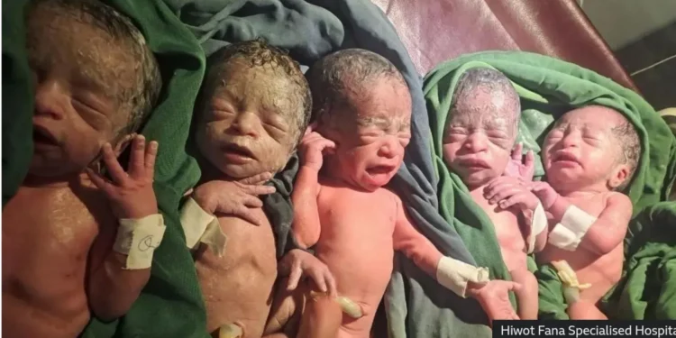 The quintuplets