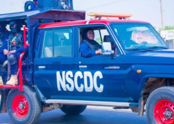 NSCDS TEAM