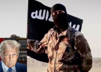 Nigerian, American forces eliminate ISIS leader