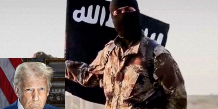 Nigerian, American forces eliminate ISIS leader