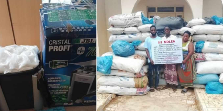 NDLEA intercepts drug-laden water purifiers in Lagos