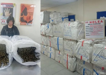 NDLEA arrests Chinese woman with drug shipment at Lagos airport