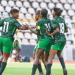 Falconets