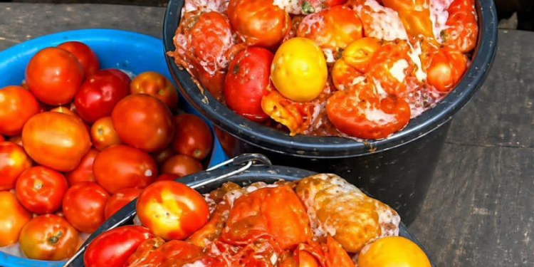 Spoiled tomatoes. : The Lagos State Govt