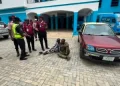 The suspects including the owner of the Nissan Micra vehicle arrested by FRSC