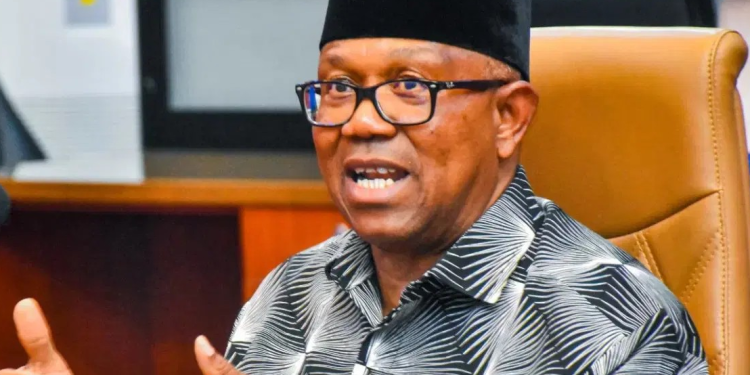 Presidential candidate of the Nigeria Democratic Congress, Peter Obi