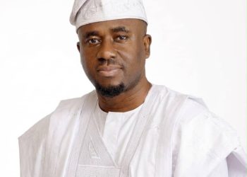 ADP presidential candidate, Aliyu Bin Abbas has nominated Hon. Chinazam Ike as his running mate.