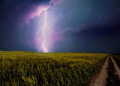 Lightning strike on a farmland